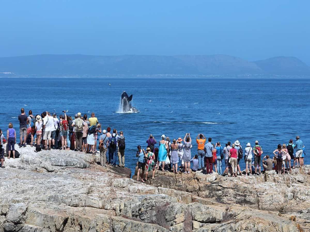 Hermanus Waterfront Apartment Bilik gambar
